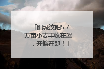 肥城汶阳5.7万亩小麦丰收在望，开镰在即！