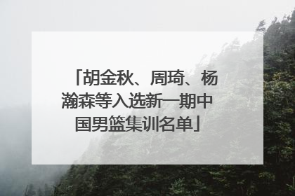 胡金秋、周琦、杨瀚森等入选新一期中国男篮集训名单