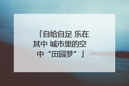 自给自足 乐在其中 城市里的空中“田园梦”