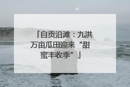 自贡沿滩：九洪万亩瓜田迎来“甜蜜丰收季”