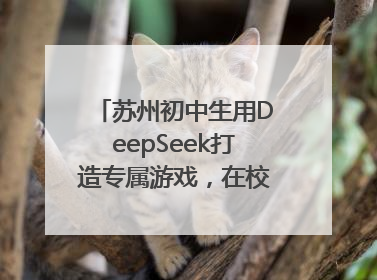 苏州初中生用DeepSeek打造专属游戏，在校园里火了！