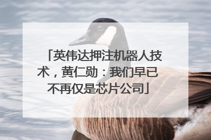 英伟达押注机器人技术，黄仁勋：我们早已不再仅是芯片公司