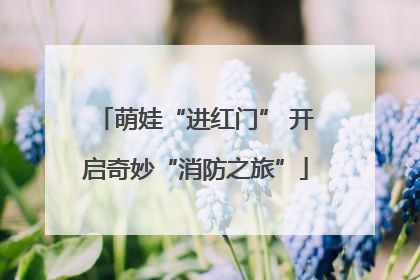 萌娃“进红门” 开启奇妙“消防之旅”
