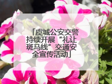 虞城公安交警持续开展“礼让斑马线”交通安全宣传活动