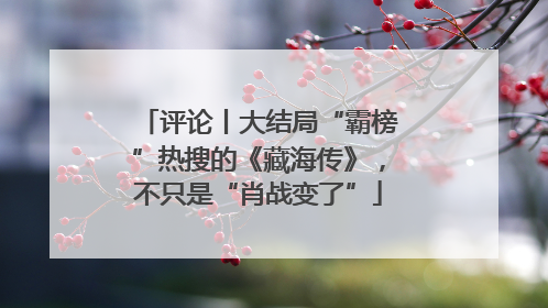 评论丨大结局“霸榜”热搜的《藏海传》，不只是“肖战变了”