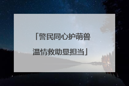 警民同心护萌兽 温情救助显担当