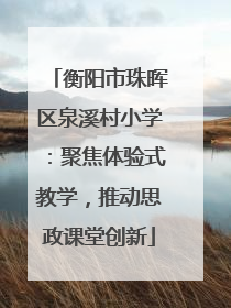衡阳市珠晖区泉溪村小学：聚焦体验式教学，推动思政课堂创新