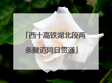 西十高铁湖北段两条隧道同日贯通
