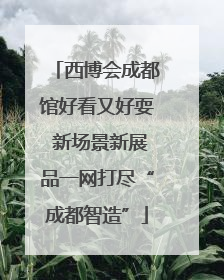 西博会成都馆好看又好耍 新场景新展品一网打尽“成都智造”