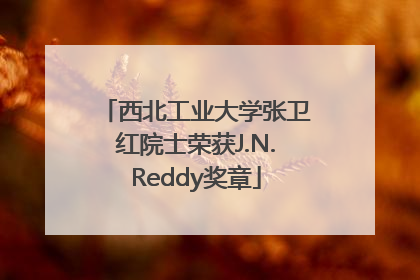 西北工业大学张卫红院士荣获J.N.Reddy奖章