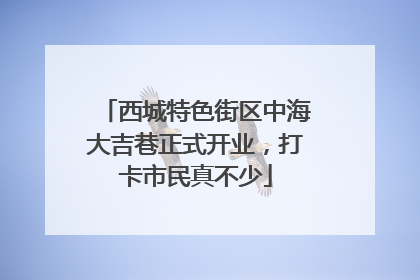 西城特色街区中海大吉巷正式开业，打卡市民真不少