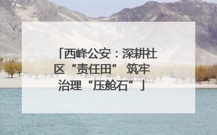 西峰公安：深耕社区“责任田” 筑牢治理“压舱石”