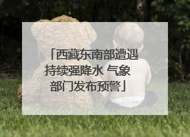 西藏东南部遭遇持续强降水 气象部门发布预警