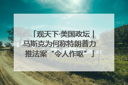 观天下·美国政坛｜马斯克为何称特朗普力推法案“令人作呕”