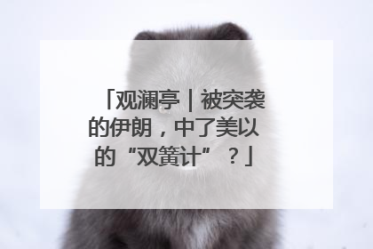 观澜亭｜被突袭的伊朗，中了美以的“双簧计”？