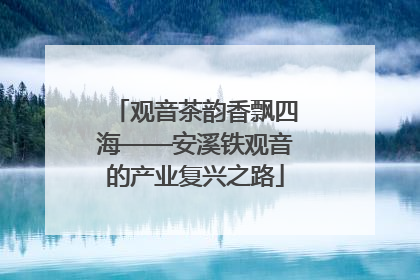 观音茶韵香飘四海——安溪铁观音的产业复兴之路