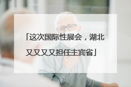 这次国际性展会，湖北又又又又担任主宾省