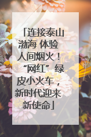 连接泰山渤海 体验人间烟火！“网红”绿皮小火车，新时代迎来新使命