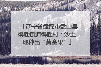 辽宁省盘锦市盘山县得胜街道得胜村：沙土地种出“黄金果”