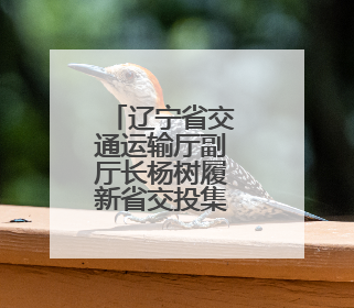 辽宁省交通运输厅副厅长杨树履新省交投集团总经理