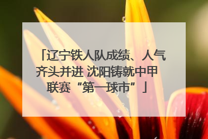 辽宁铁人队成绩、人气齐头并进 沈阳铸就中甲联赛“第一球市”