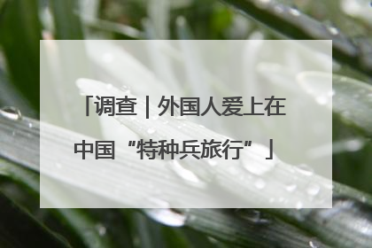 调查｜外国人爱上在中国“特种兵旅行”