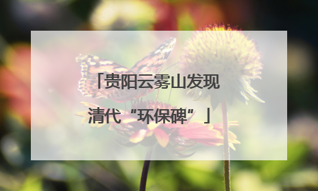 贵阳云雾山发现清代“环保碑”