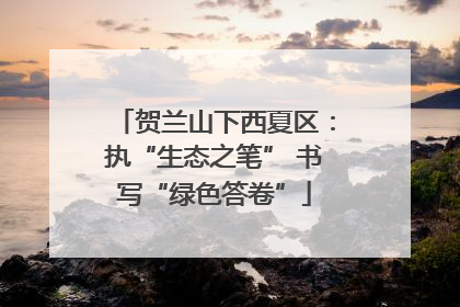 贺兰山下西夏区：执“生态之笔” 书写“绿色答卷”