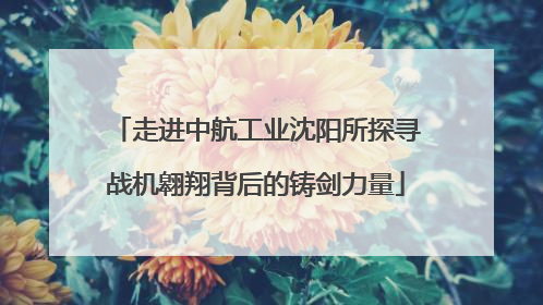 走进中航工业沈阳所探寻战机翱翔背后的铸剑力量