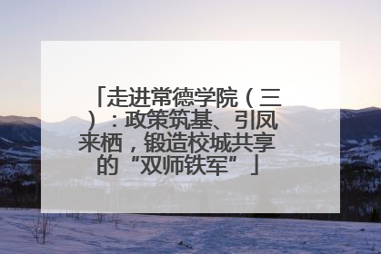 走进常德学院（三）：政策筑基、引凤来栖，锻造校城共享的“双师铁军”