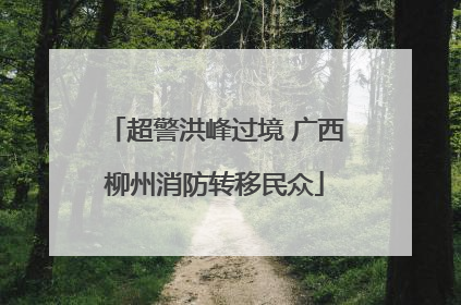 超警洪峰过境 广西柳州消防转移民众