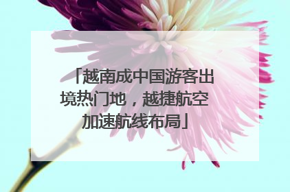 越南成中国游客出境热门地，越捷航空加速航线布局