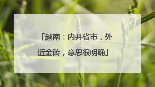 越南：内并省市，外近金砖，意思很明确
