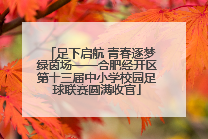 足下启航 青春逐梦绿茵场——合肥经开区第十三届中小学校园足球联赛圆满收官