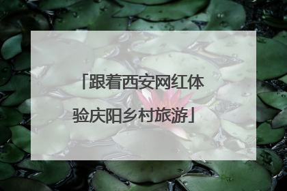 跟着西安网红体验庆阳乡村旅游