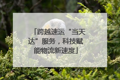 跨越速运“当天达”服务，科技赋能物流新速度
