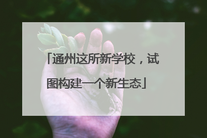 通州这所新学校，试图构建一个新生态