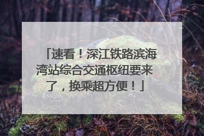 速看！深江铁路滨海湾站综合交通枢纽要来了，换乘超方便！