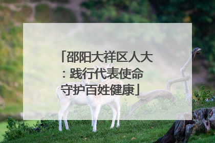 邵阳大祥区人大：践行代表使命 守护百姓健康