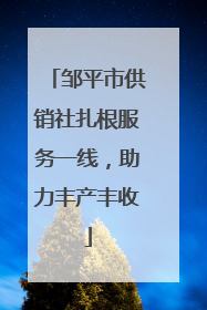 邹平市供销社扎根服务一线，助力丰产丰收