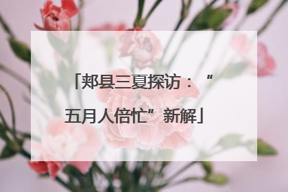 郏县三夏探访：“五月人倍忙”新解