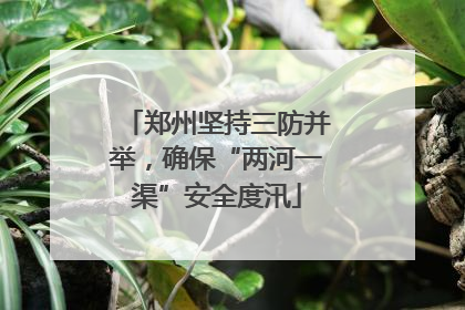 郑州坚持三防并举，确保“两河一渠”安全度汛