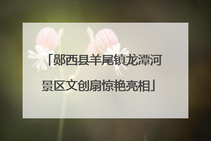 郧西县羊尾镇龙潭河景区文创扇惊艳亮相