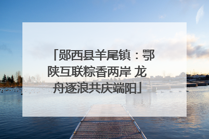 郧西县羊尾镇：鄂陕互联粽香两岸 龙舟逐浪共庆端阳