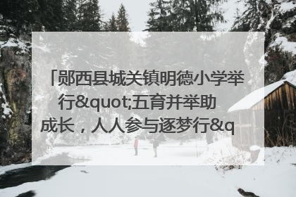 郧西县城关镇明德小学举行"五育并举助成长，人人参与逐梦行"庆六一活动