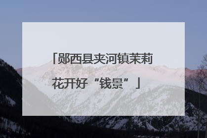 郧西县夹河镇茉莉花开好“钱景”