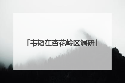韦韬在杏花岭区调研