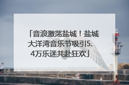 音浪激荡盐城！盐城大洋湾音乐节吸引5.4万乐迷共赴狂欢