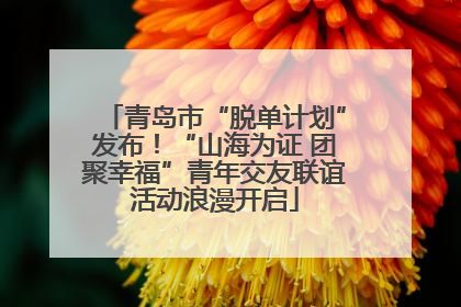 青岛市“脱单计划”发布！“山海为证 团聚幸福”青年交友联谊活动浪漫开启