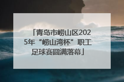 青岛市崂山区2025年“崂山湾杯”职工足球赛圆满落幕